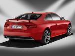 Audi A5 Coupe DTM Champion 2013 года